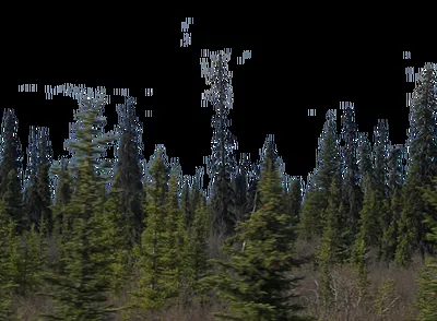 Slide of Spokane Septic Systems