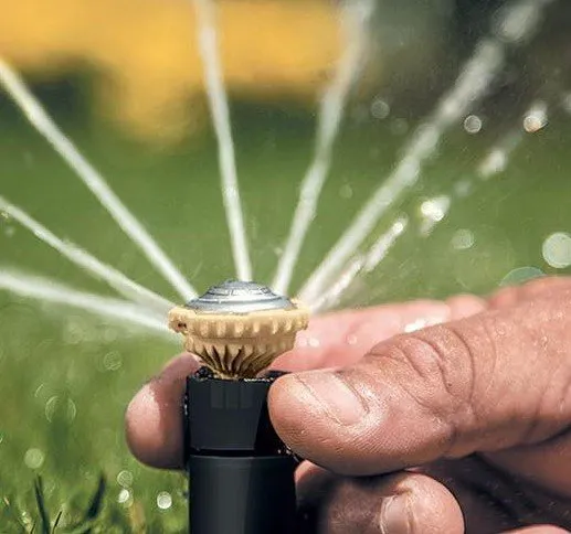 Slide of Spray & Pray