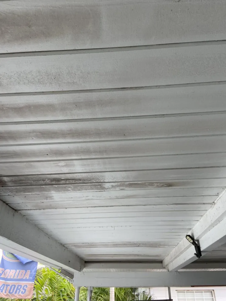 Slide of Springer's Painting