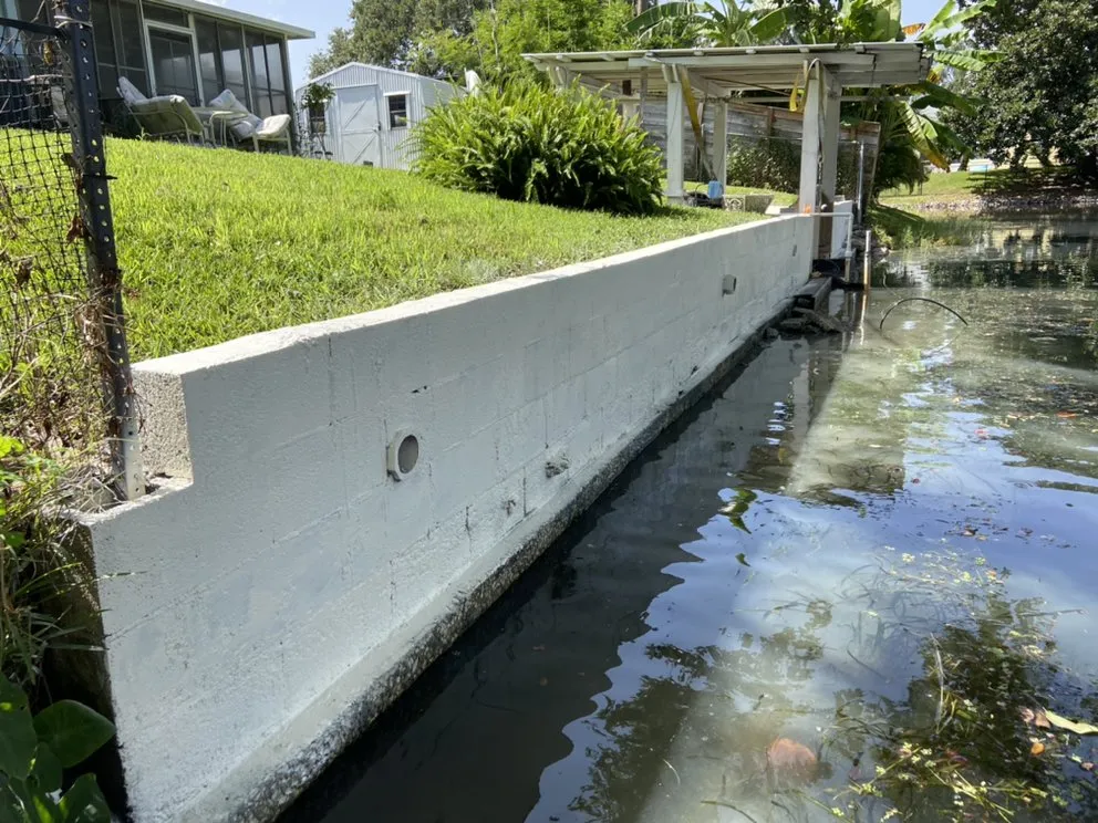 Slide of Springer's Painting