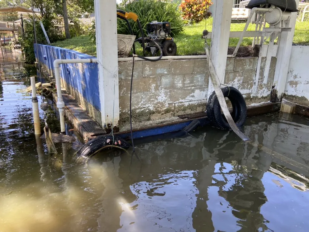 Slide of Springer's Painting