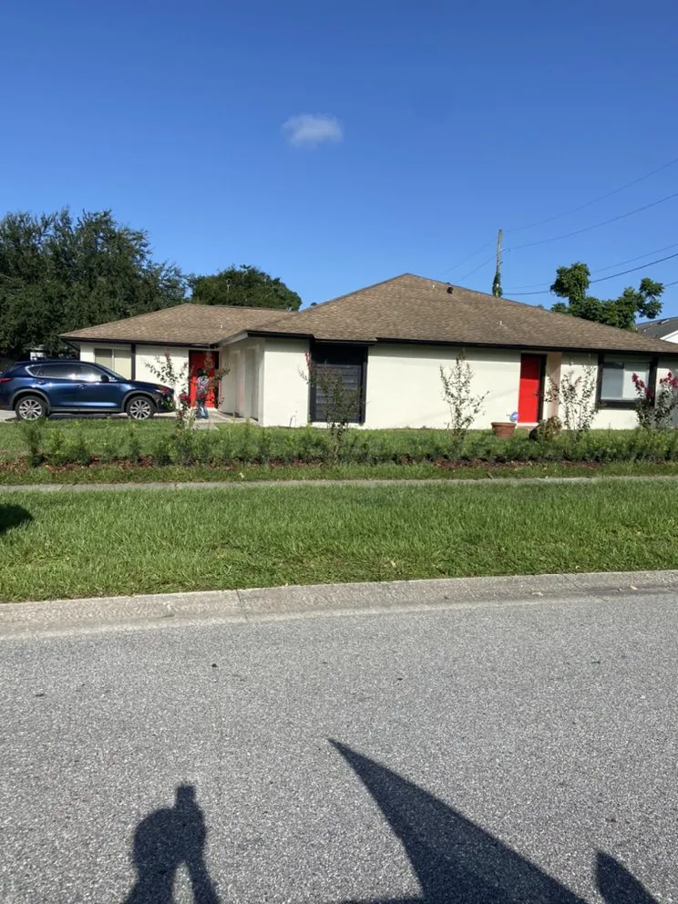 Slide of Springer's Painting