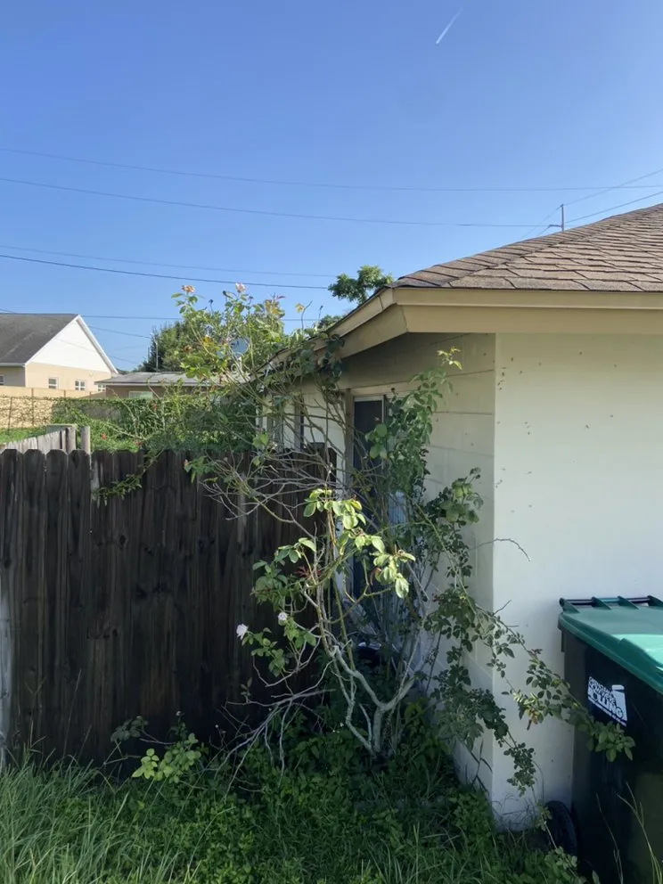 Slide of Springer's Painting