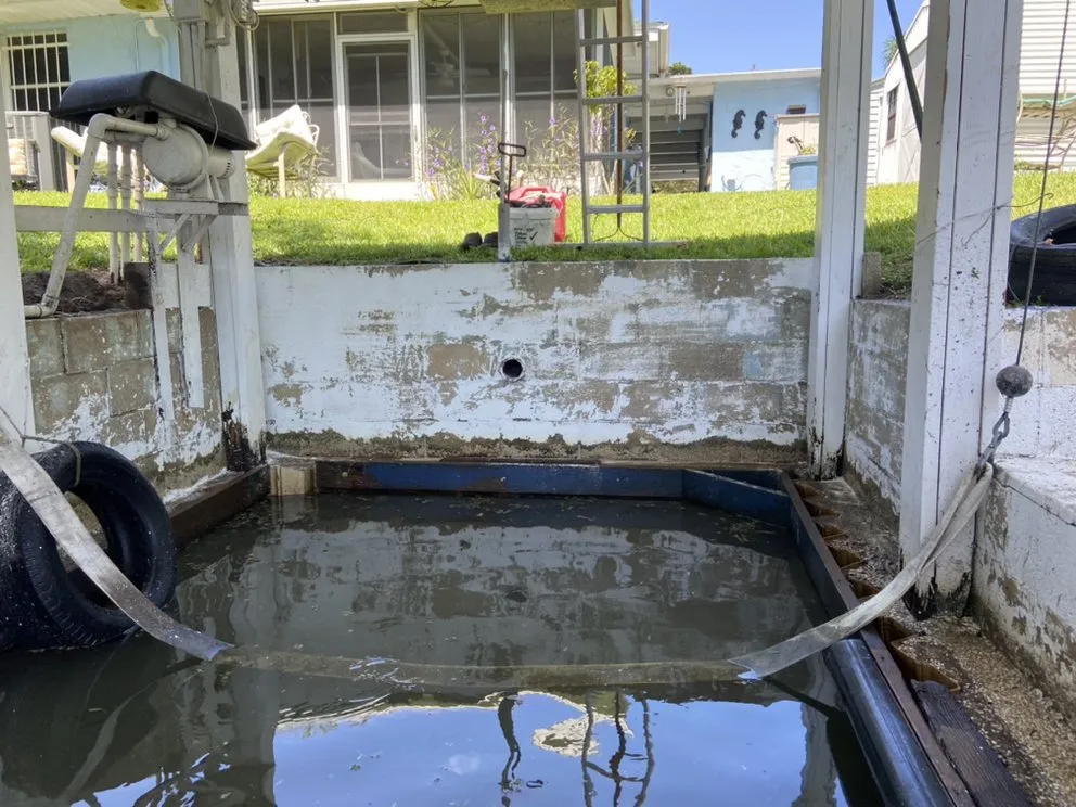 Slide of Springer's Painting