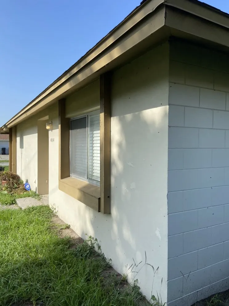 Slide of Springer's Painting