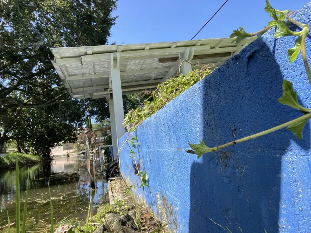 Slide of Springer's Painting