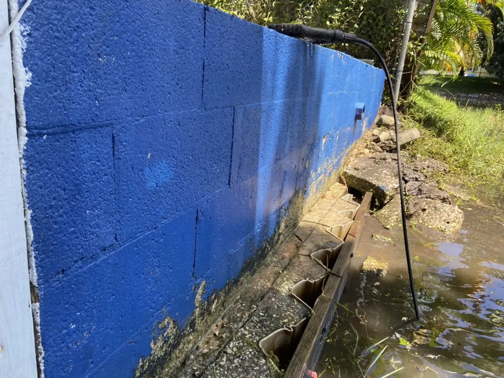 Slide of Springer's Painting