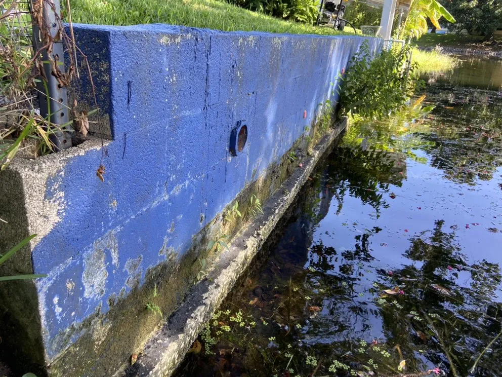 Slide of Springer's Painting