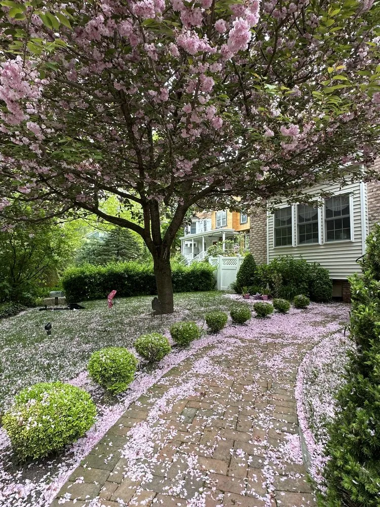 Slide of Sprinkle Smart