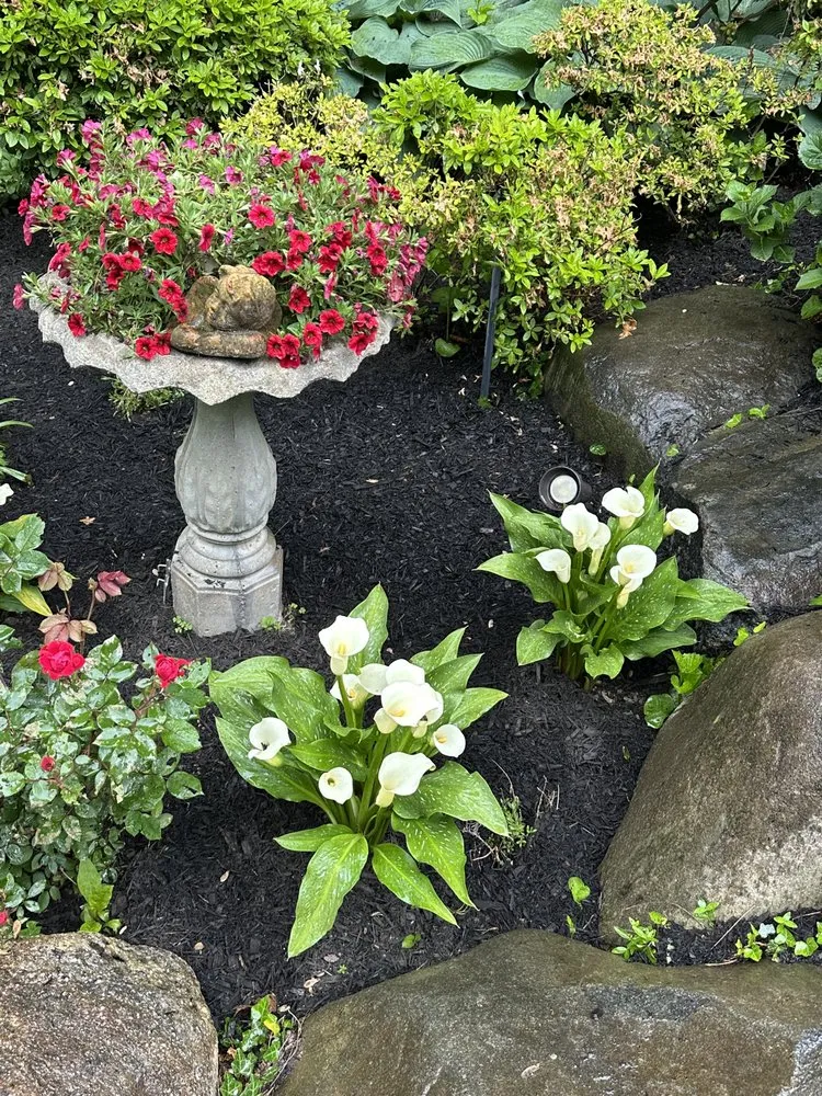 Slide of Sprinkle Smart