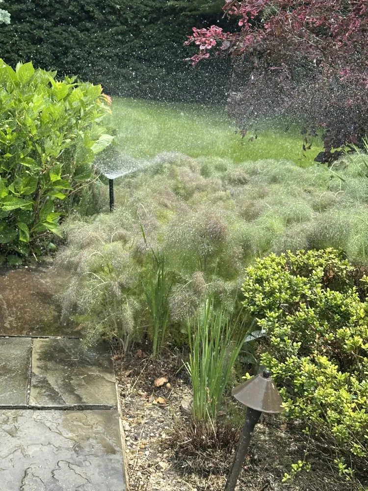 Trusted drain cleaning service in Huntington Station, NY - Sprinkle Smart