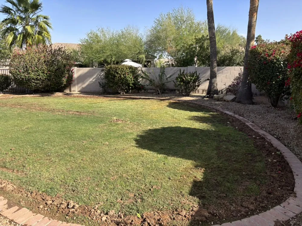 Quality drain cleaning in Phoenix, AZ by Sprinkler Bros & plumbing