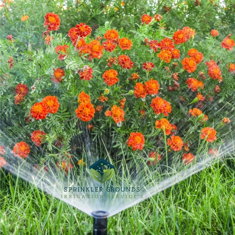 Slide of Sprinkler Grounds