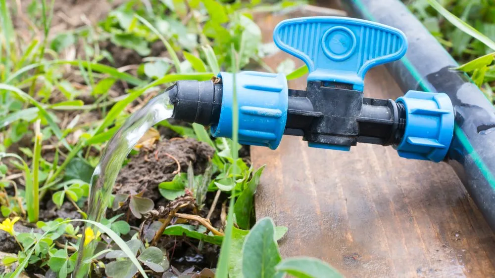 Slide of Sprinkler Grounds