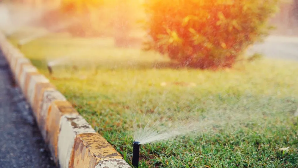 Slide of Sprinkler Grounds
