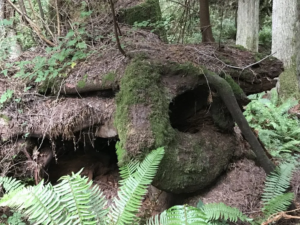 Slide of Sprinklers And Backflows