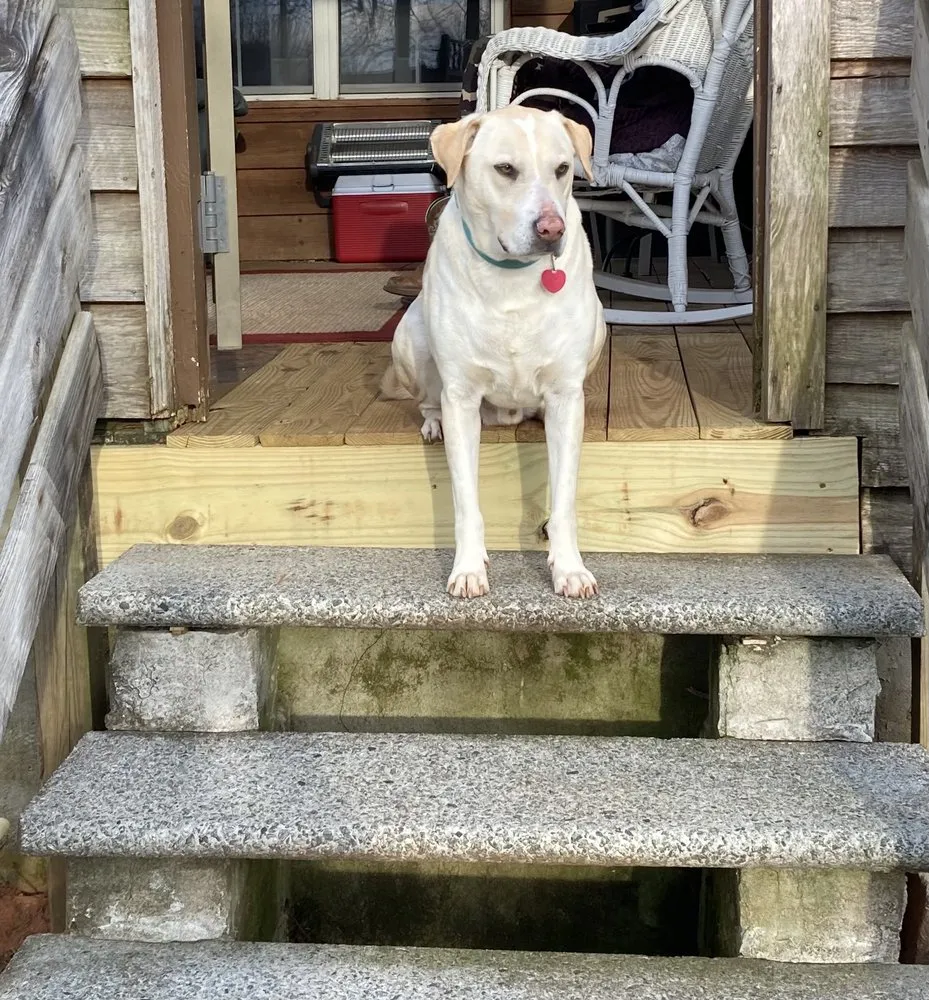 Slide of Squeaky Door Handyman