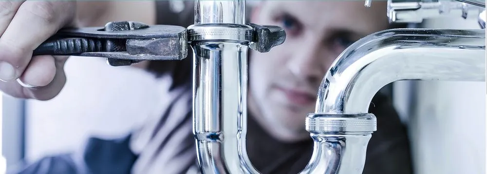 Slide of Squirrelly Clean