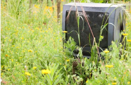 Slide of Squirrelly Clean