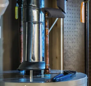 Slide of Squirrel's Plumbing