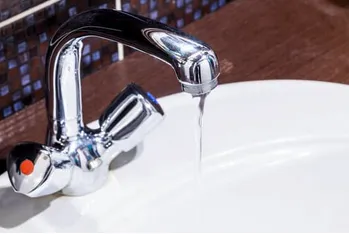 Slide of Squirrel's Plumbing