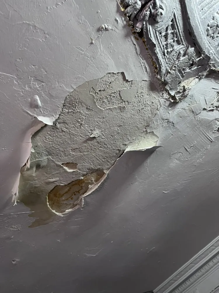 Slide of SR NY Management