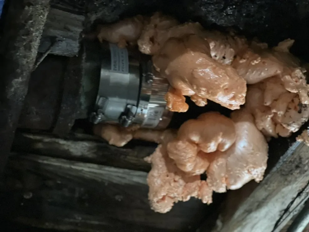 Trusted plumbing repair service in Brooklyn, NY - SR NY Management