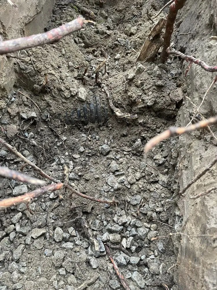 Slide of S&S Advanced Septic And Plumbing Solutions