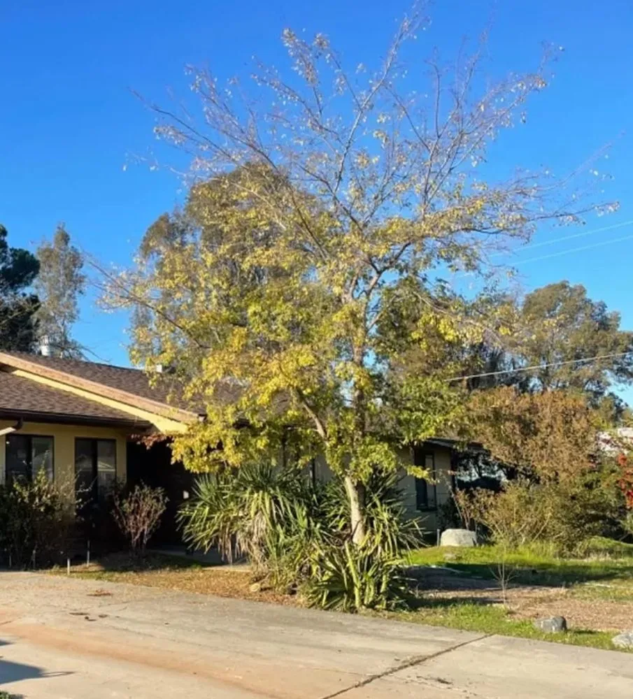 Slide of S&S Design And Repair