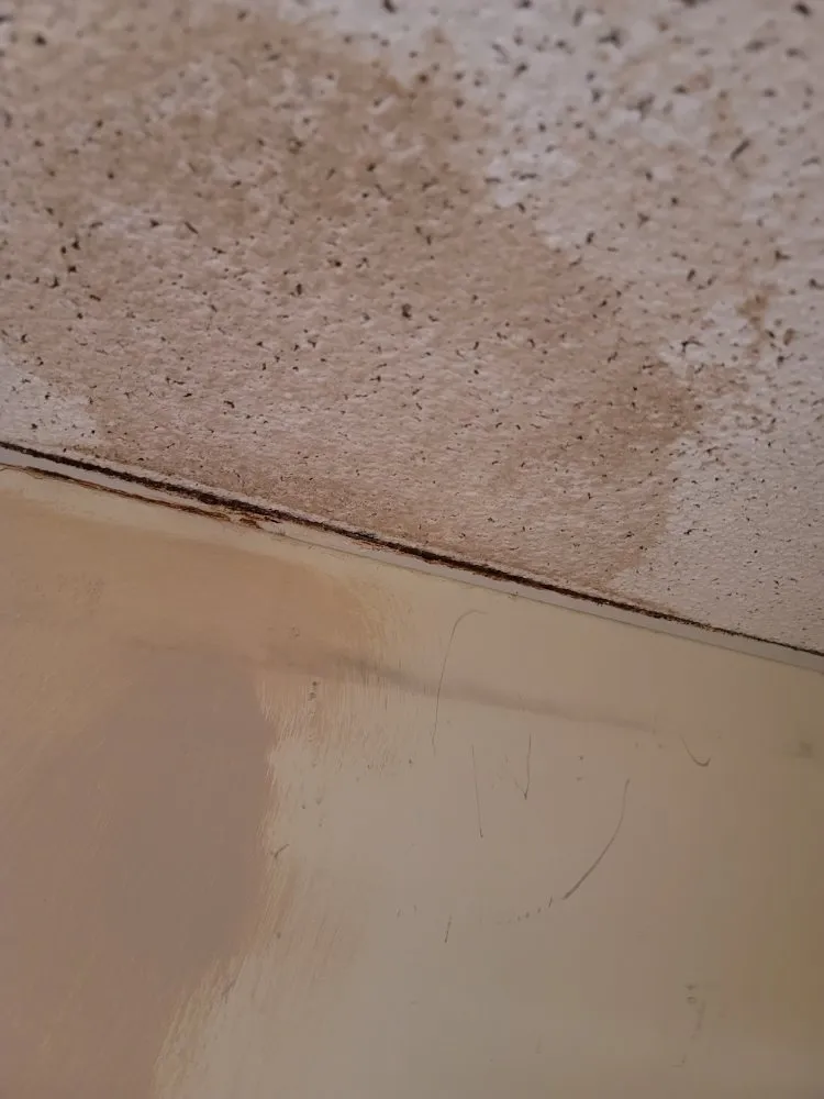 Professional pipe repair in Ellendale, ND by Staley's Handyman Services