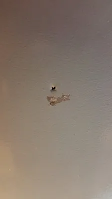 Stan Perkoski's Home Services Logo