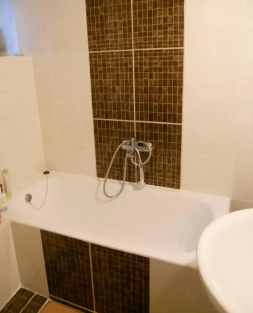 Slide of STAN the Handyman