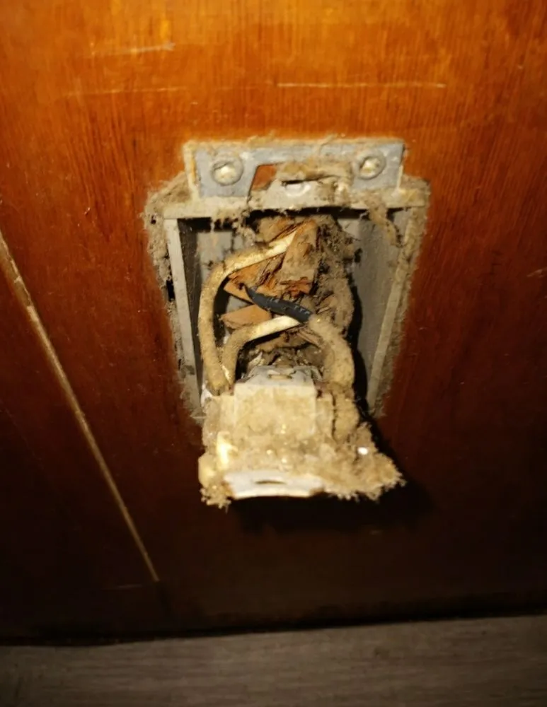 Slide of STAN the Handyman