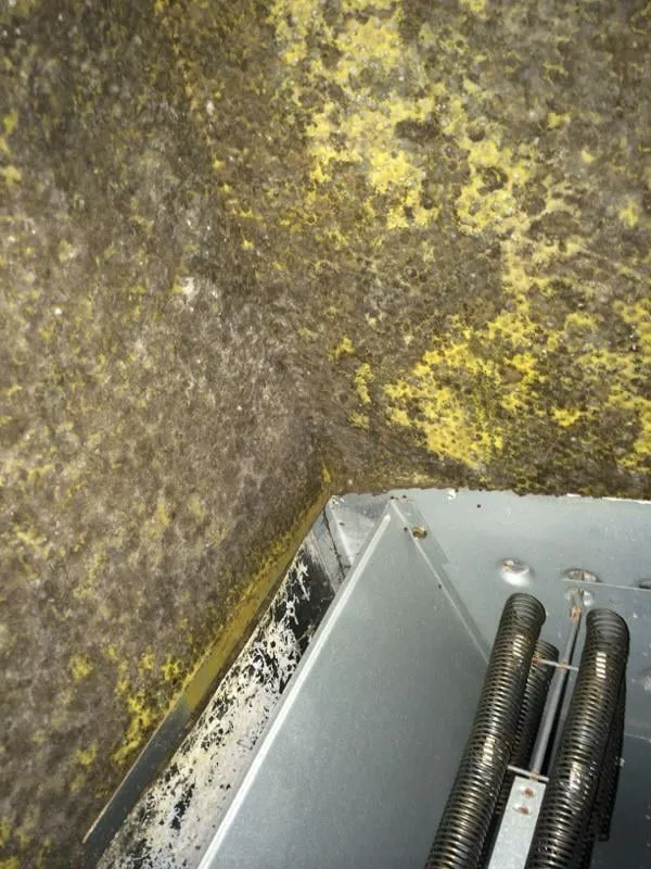 Slide of Standard Heating, Cooling & Plumbing