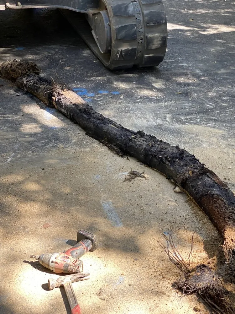 Slide of Standard Rooter and Sewers