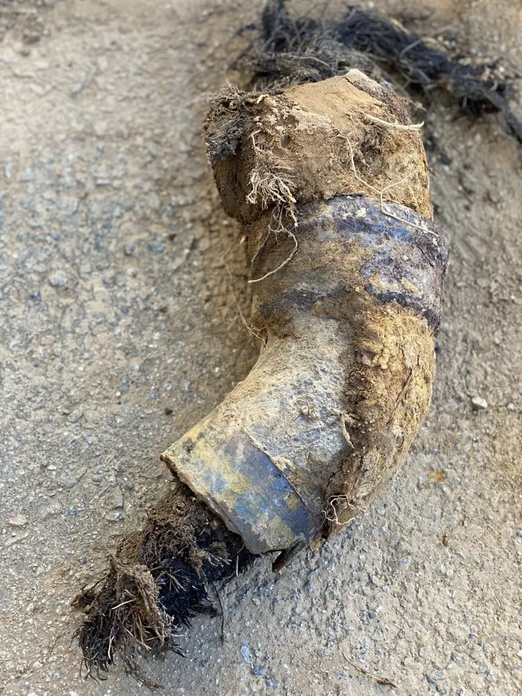 Slide of Standard Rooter and Sewers