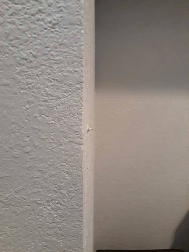 Slide of Standardized Improvement