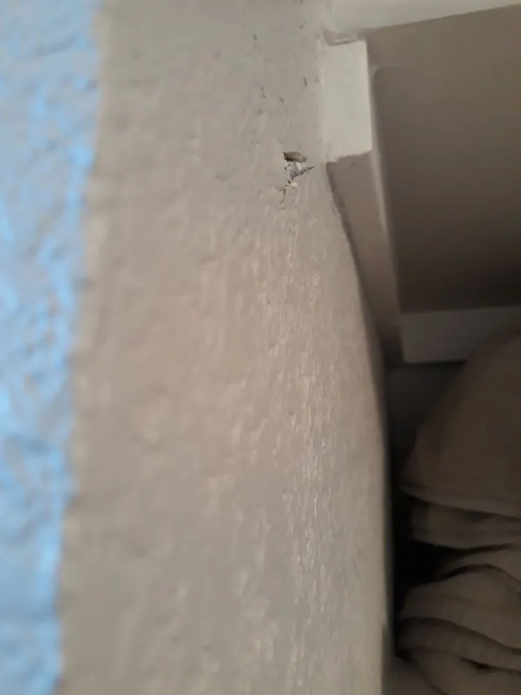 Slide of Standardized Improvement