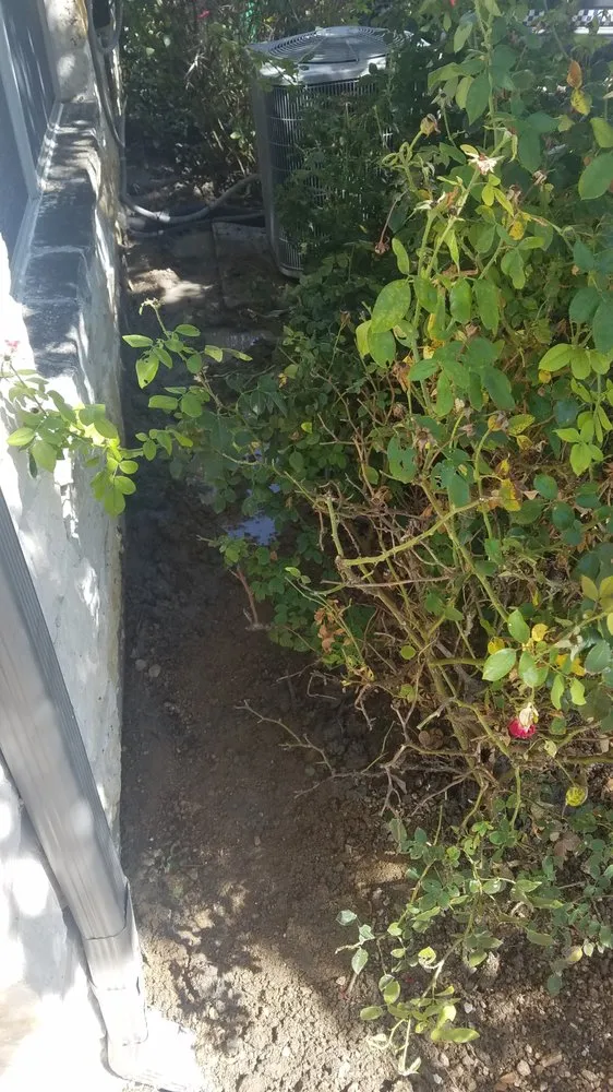 Expert water heater service in Austin, TX by Stan's Heating, Air, Plumbing & Electrical