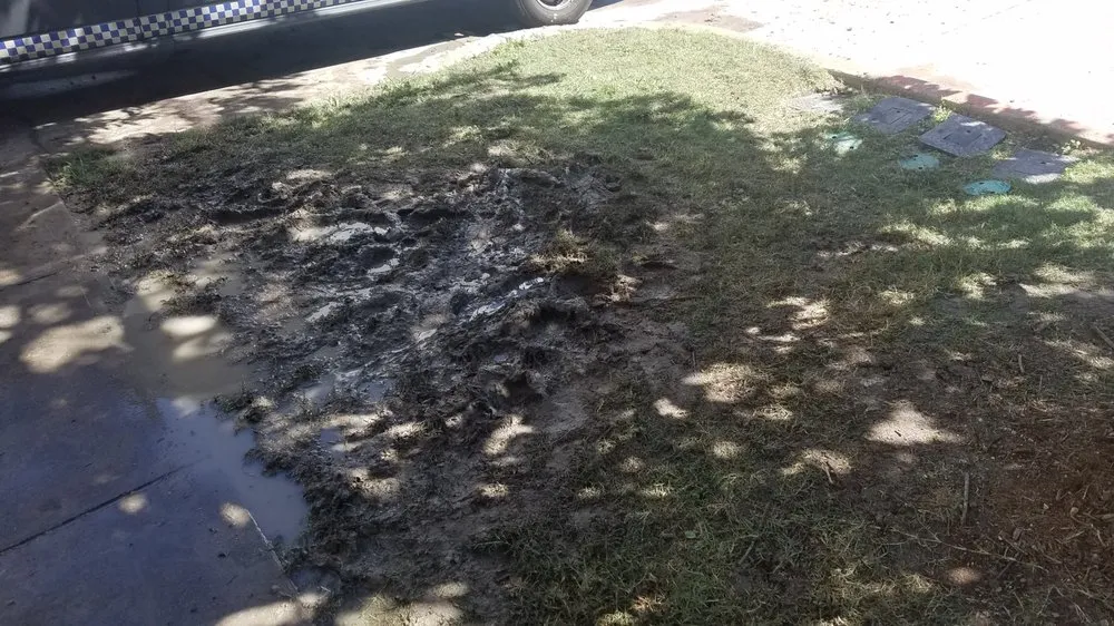 Top-rated drain cleaning in Austin, TX by Stan's Heating, Air, Plumbing & Electrical