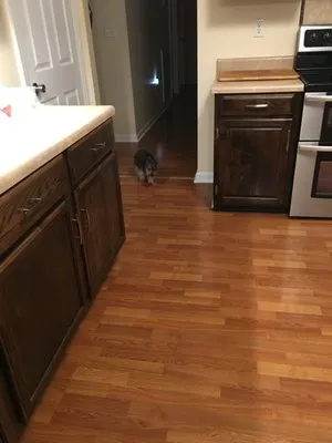 Stan's Plumbing And home Repairs