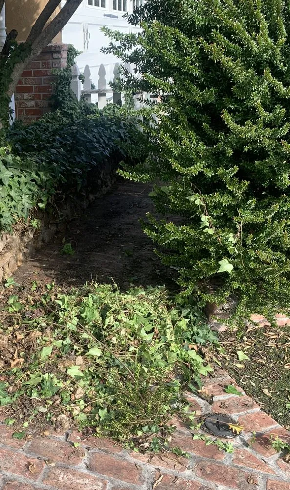 Slide of Stanton Plumbing