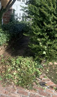 Stanton Plumbing Logo