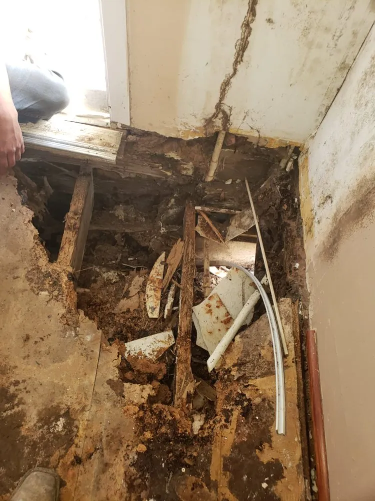 Slide of Star Foundation