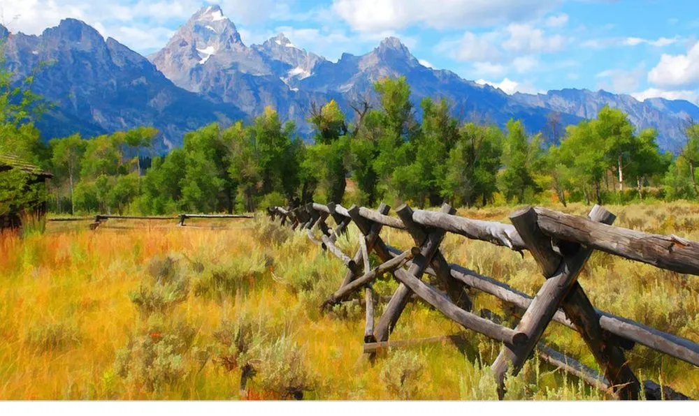 Slide of Star Plumbing