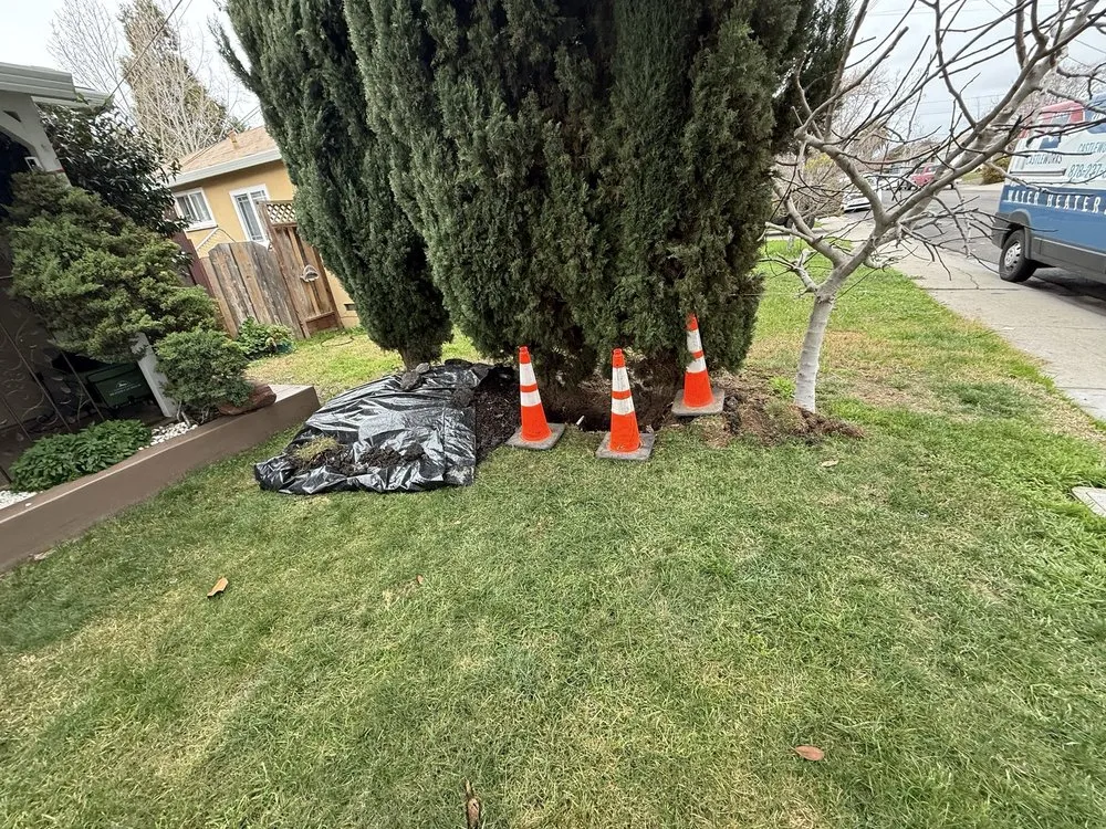 Slide of Star Rooter & Plumbing