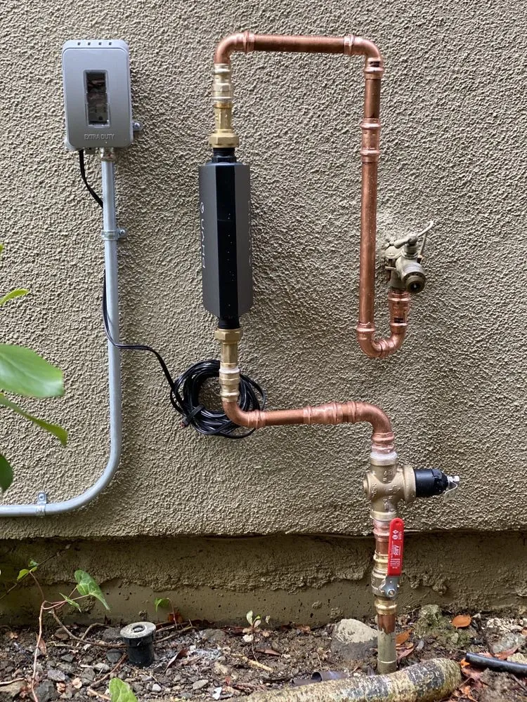 Slide of Starboy Plumbing