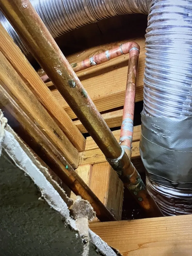 Slide of Stars and Stripes Plumbing