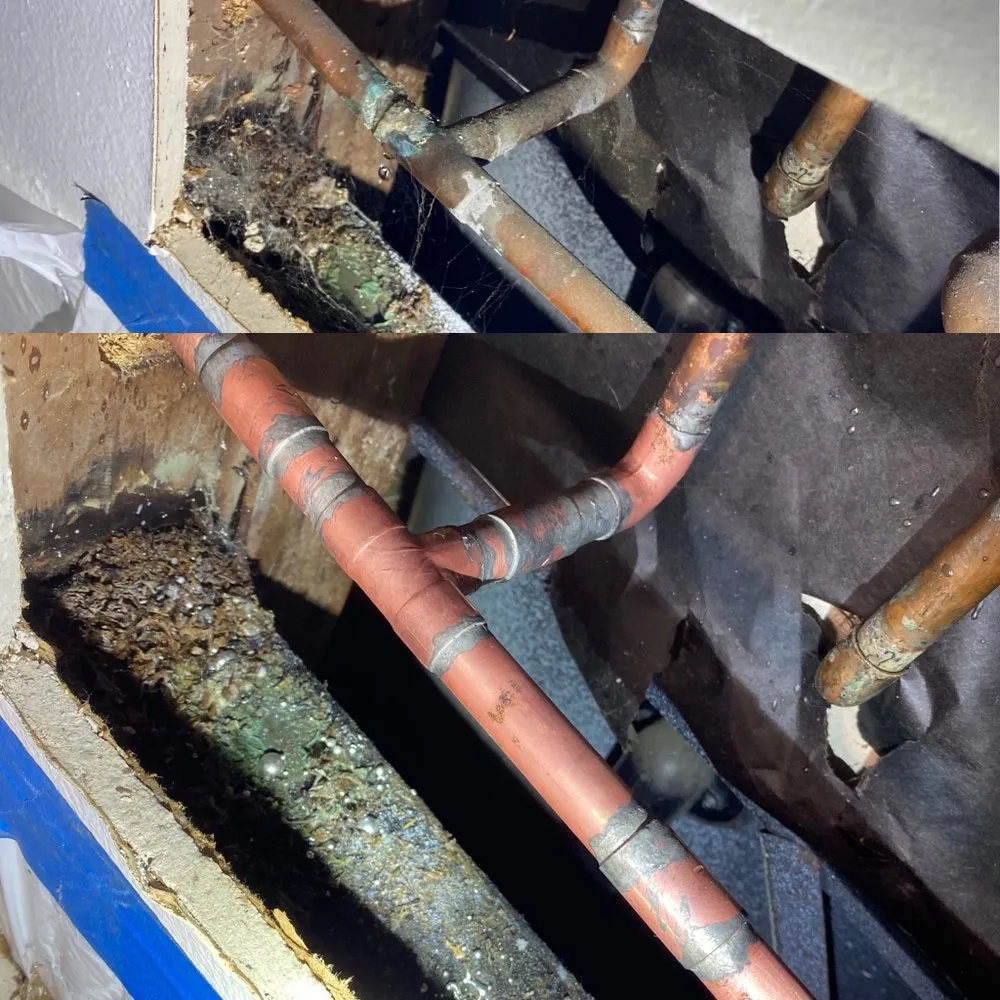 Slide of Stars and Stripes Plumbing