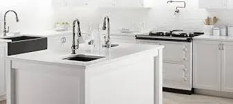 Slide of Starving Plumbers